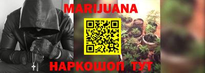 гидропоника Бийск