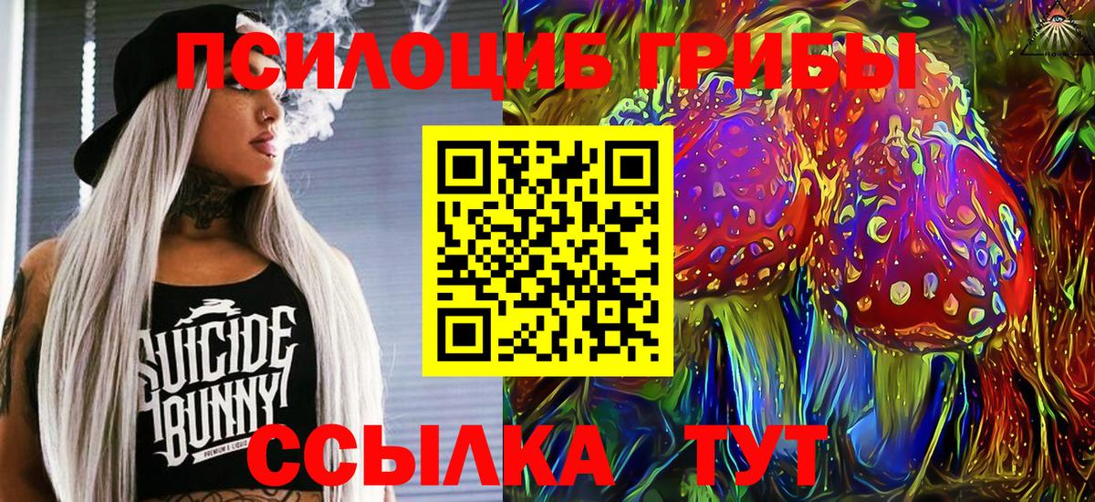 Галлюциногенные грибы Psilocybine cubensis  Вход с VPN  Зеленогорск 