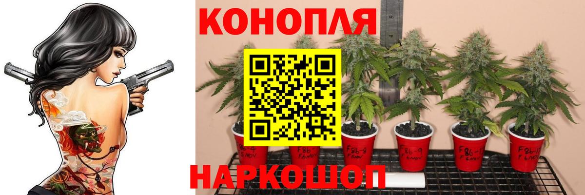 Конопля Amnesia Зеленогорск